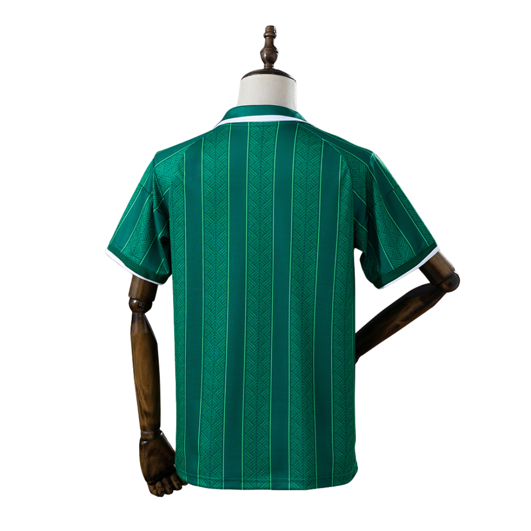 Camisola Alternativa Africa do Sul 2026